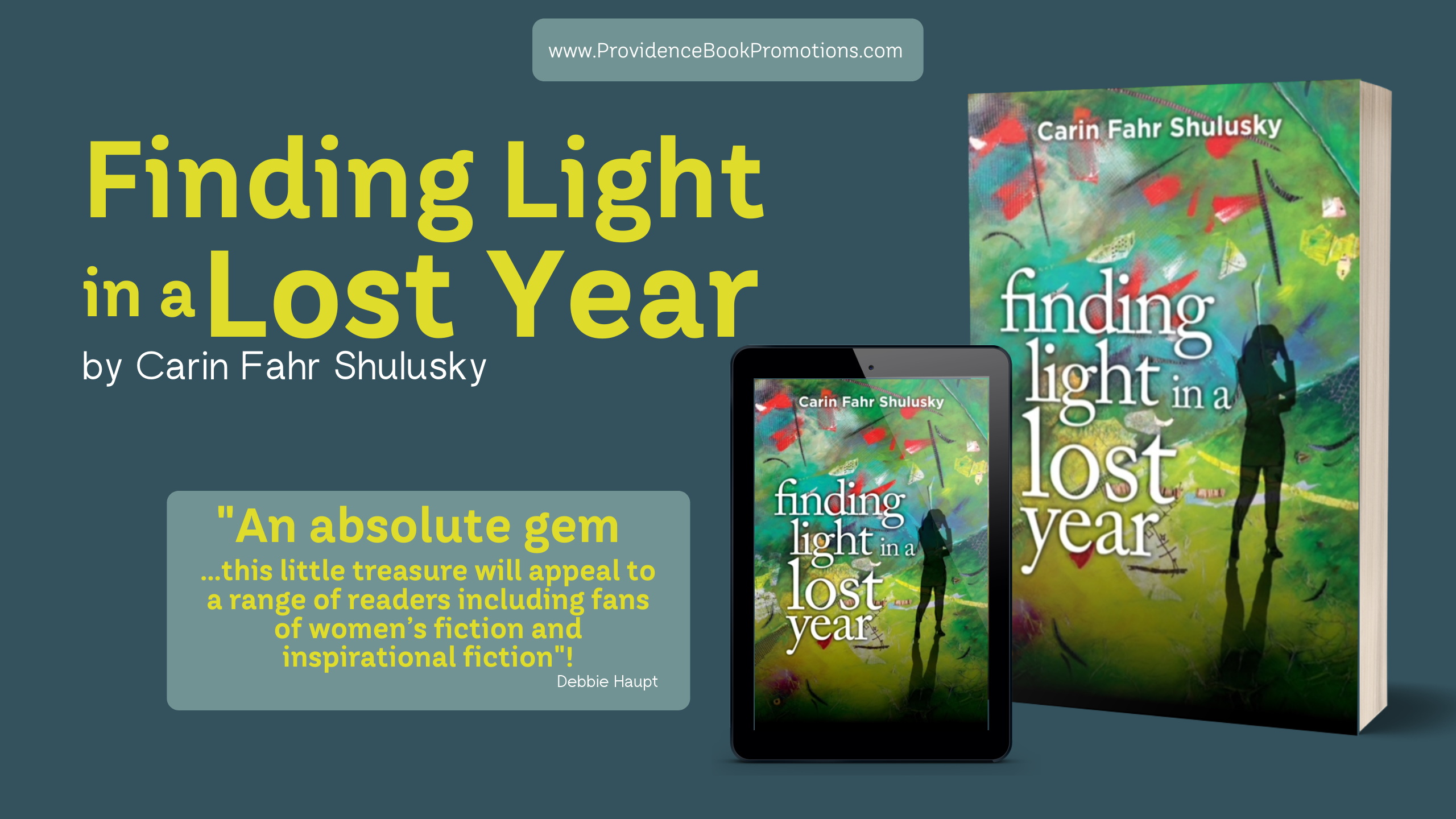 Finding Light in a Lost Year by Carin Fahr Shulusky